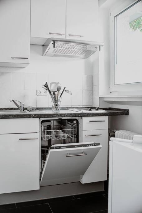 Wiesbaden - Apartment Im Nerotal ภายนอก รูปภาพ